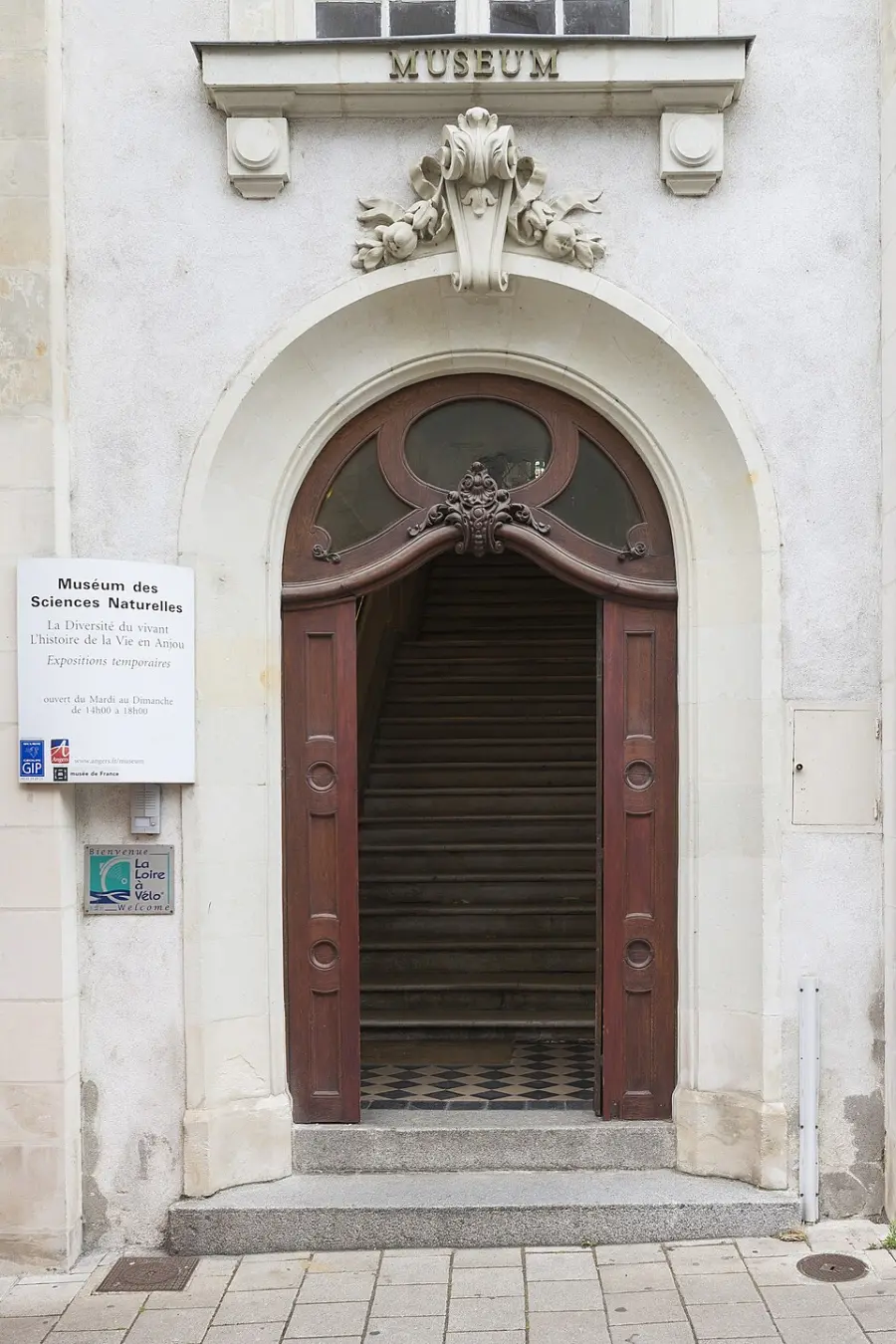 Muséum des sciences naturelles