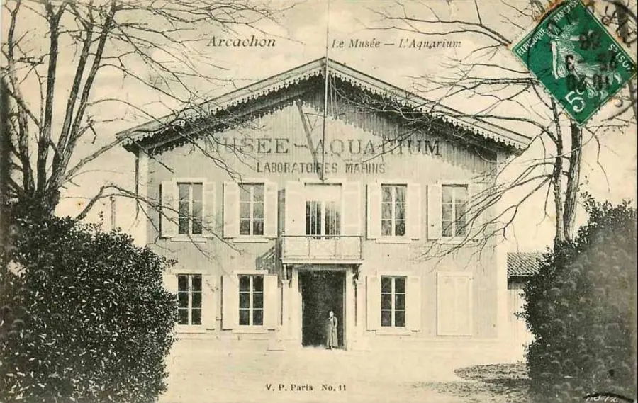 Aquarium et musée