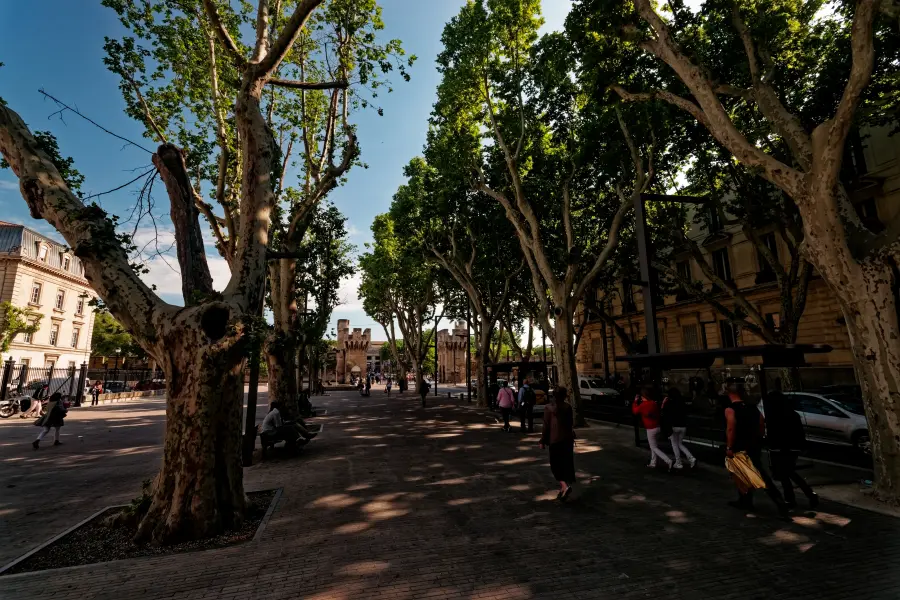 Cours Jean Jaurès