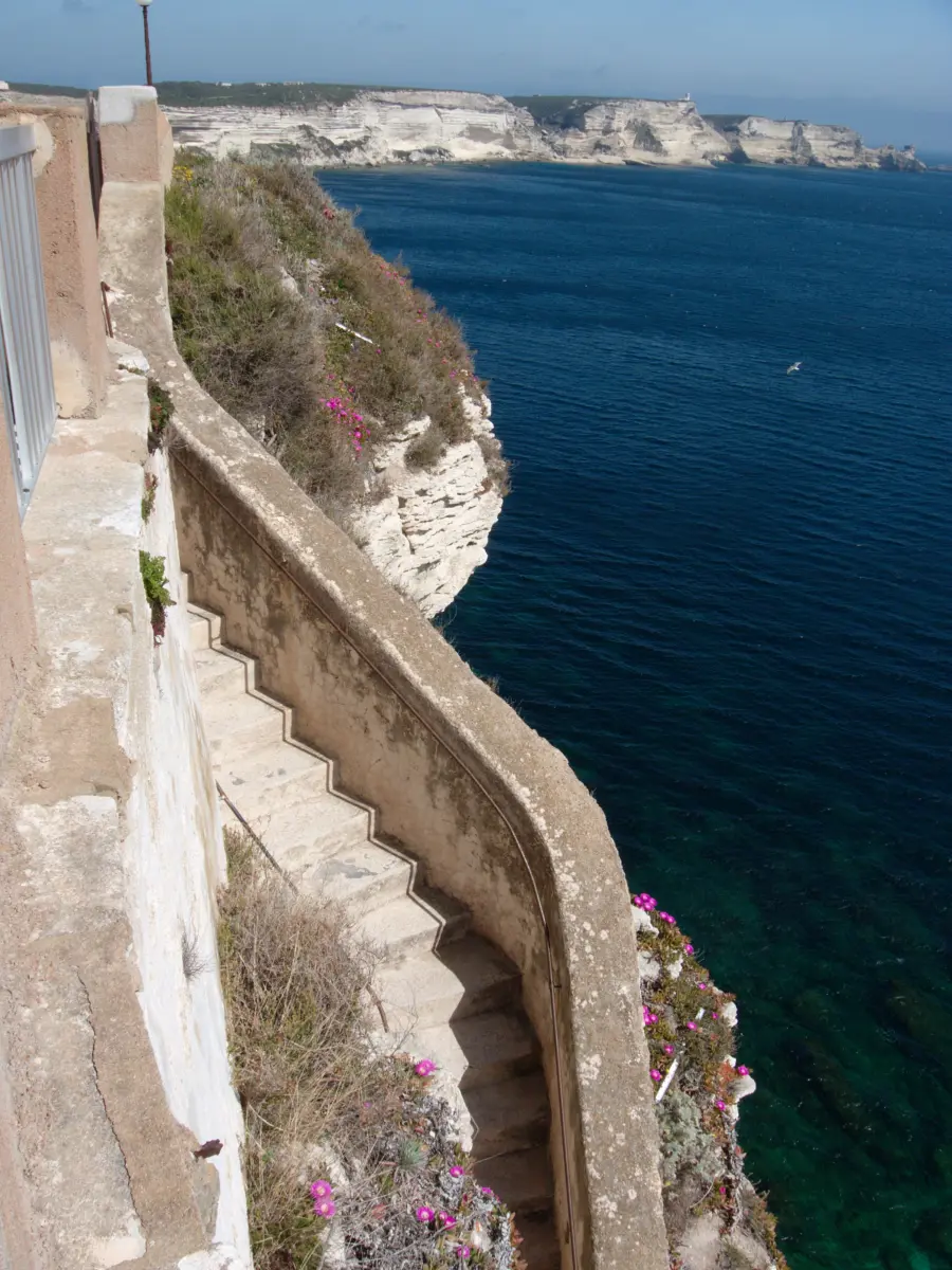 Escalier du Roi d'Aragon