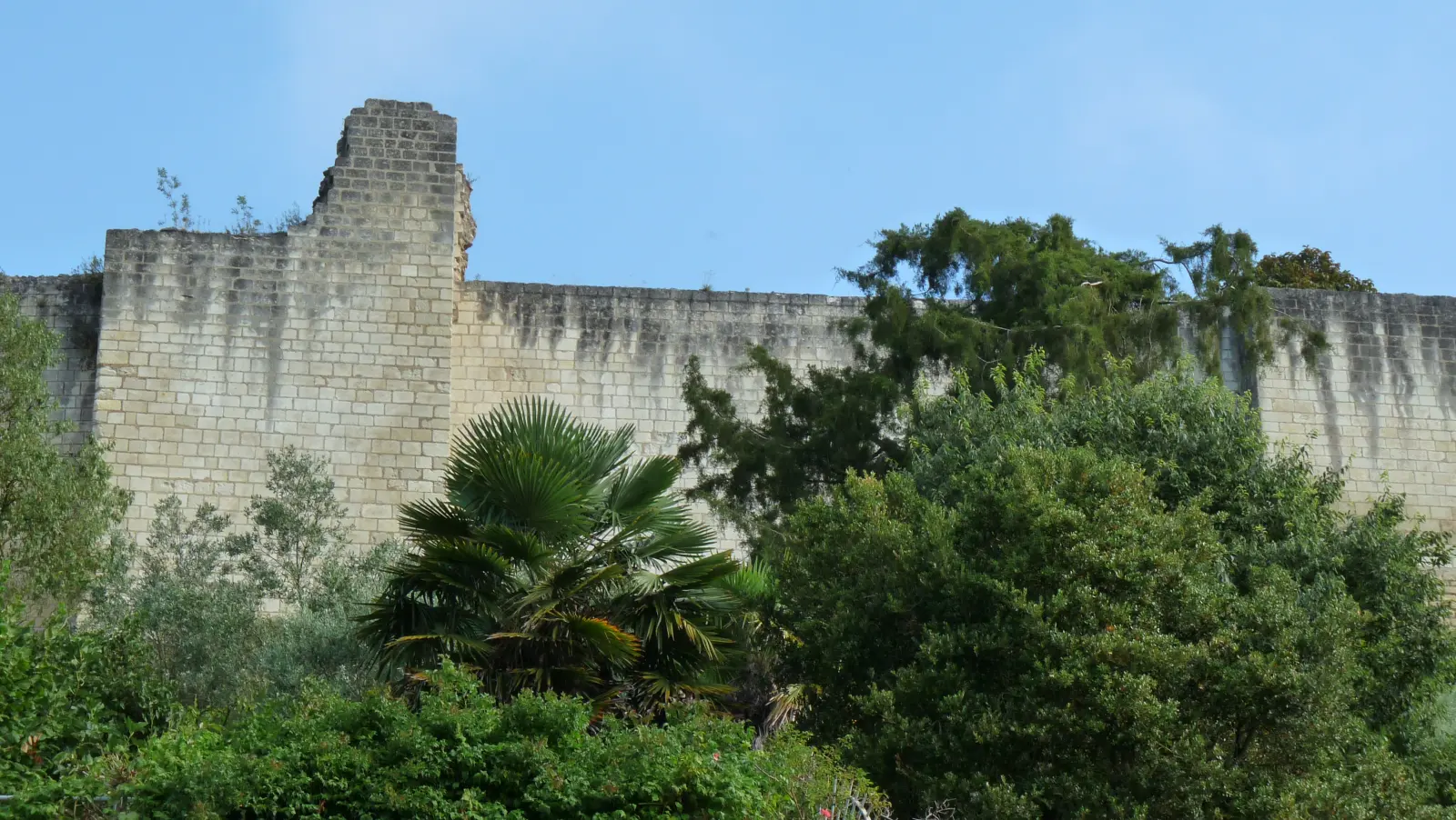 Chinon