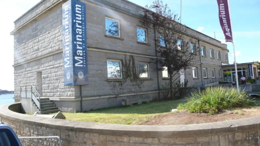 Marinarium