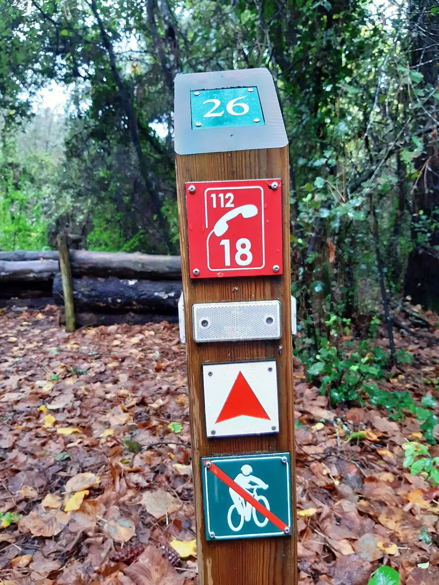 Forêt d'Escoublac