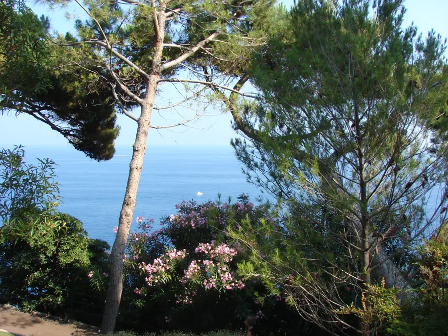Jardins Saint-Martin