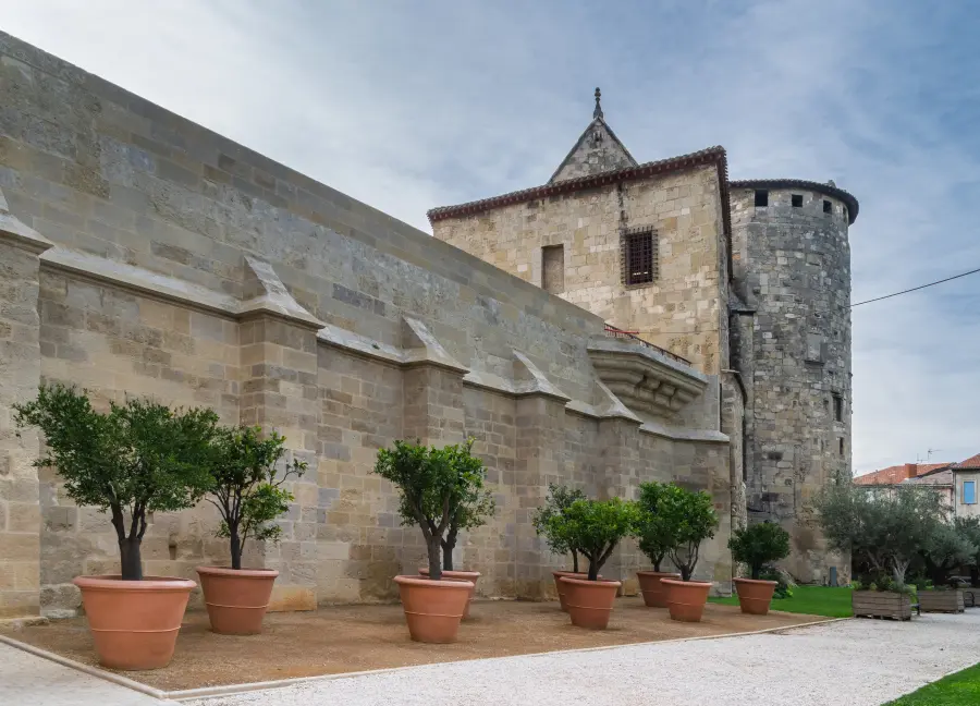Palais des Archevêques et donjon Gilles-Aycelin