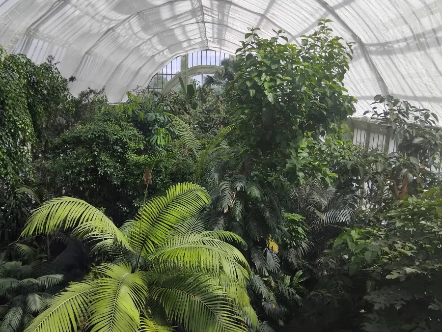 Jardin des Plantes