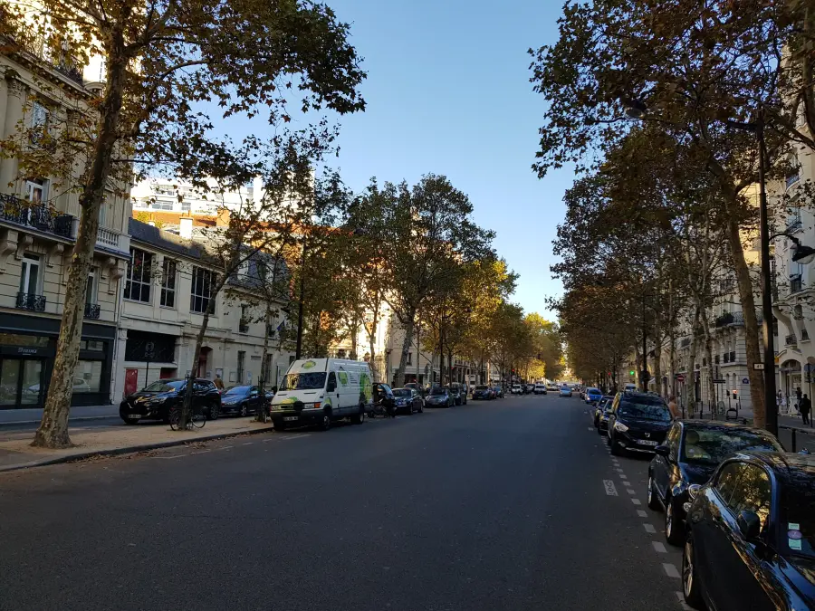 Avenue Rapp