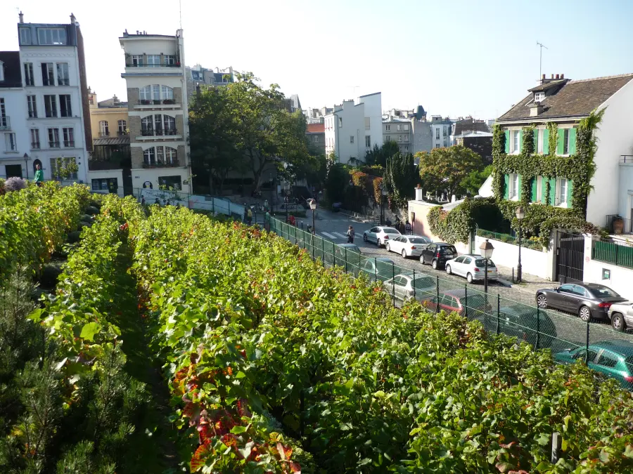 Clos Montmartre