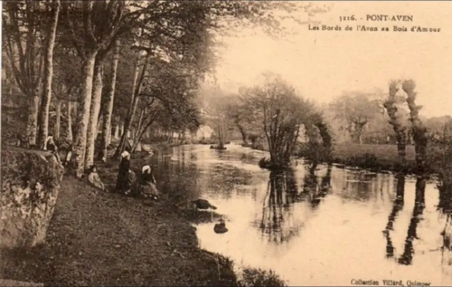 Bois d'Amour