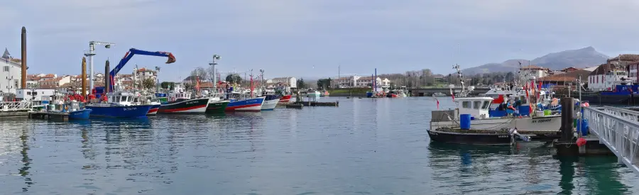 Le Port