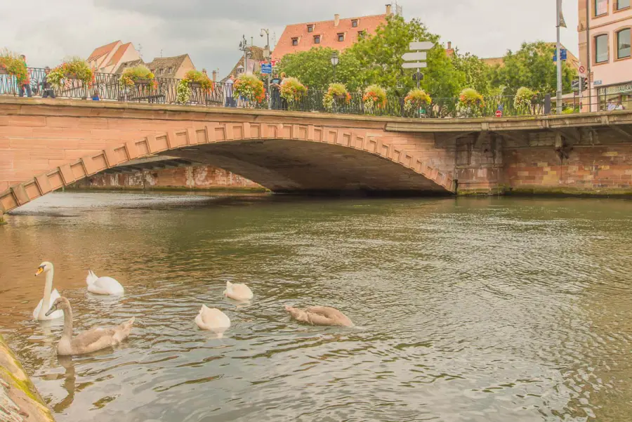 Pont du Corbeau