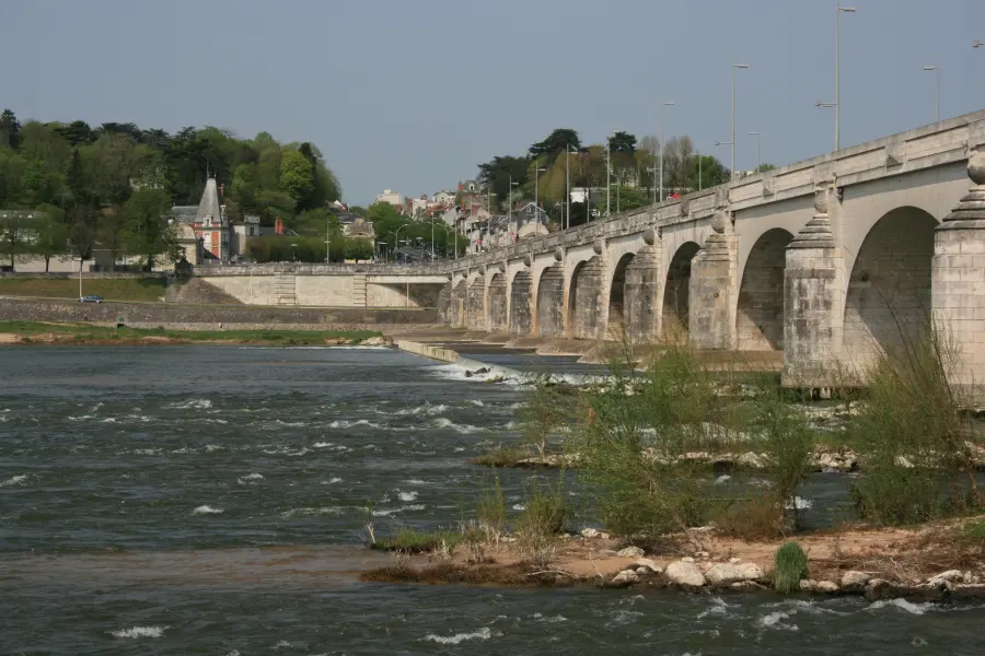 Pont Wilson