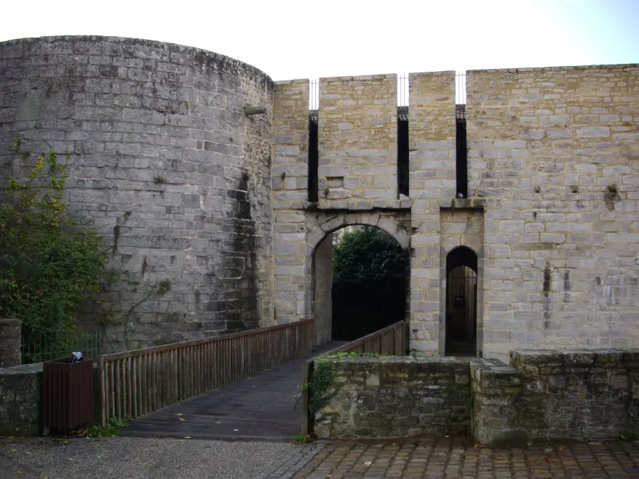 Porte Calmont et remparts